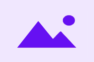 SamsungTool.us (Existing User) - Credit Recharge